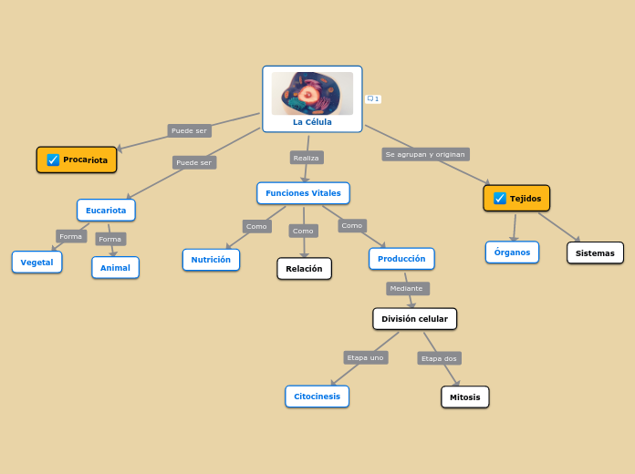 La Célula Mind Map